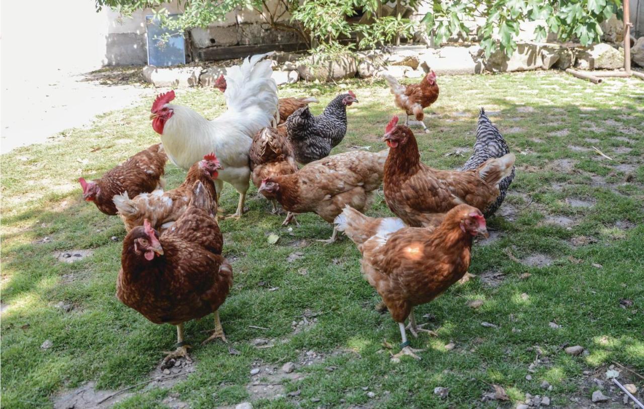 Grosse Ferienwohnung Sierndorf Esterno foto